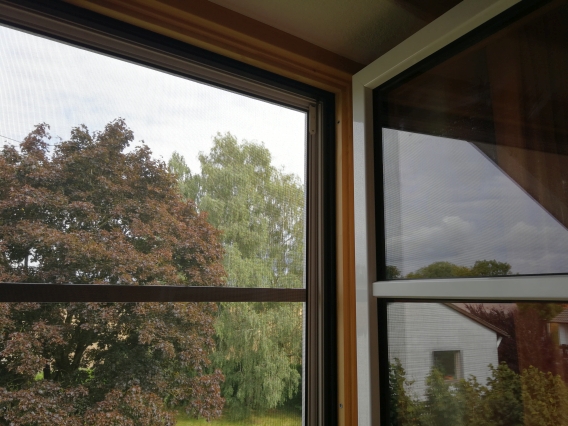 FSP_Sprosse_Ansicht_innen